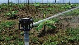 <span style="font-weight: bold;">Irrigation system</span><br>